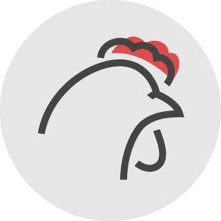 carne-de-pollo