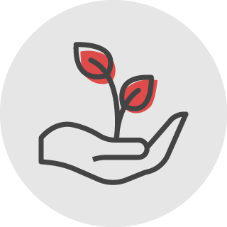informe-ico9