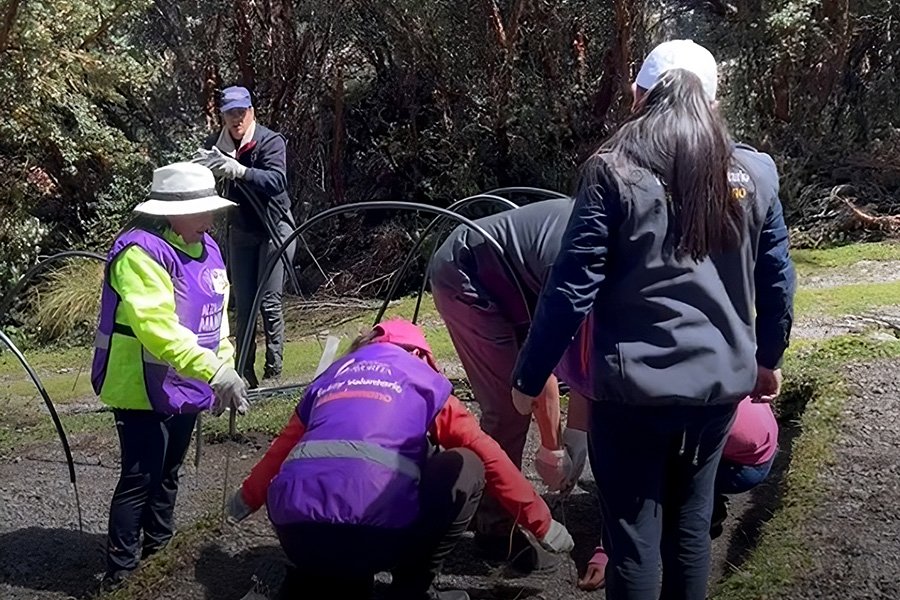 Corporación Favorita y GIRA siguen trabajando por alcanzar la meta de reforestación en Ecuador junto a su Voluntariado Corporativo Corporación Favorita y GIRA siguen trabajando por alcanzar la meta de reforestación en Ecuador junto a su Voluntariado Corporativo