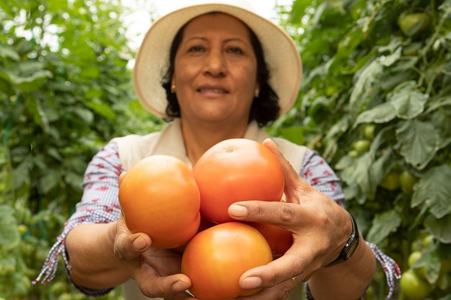 Productores de Valor: transformando vidas y mejorando la calidad de vida Productores de Valor: transformando vidas y mejorando la calidad de vida