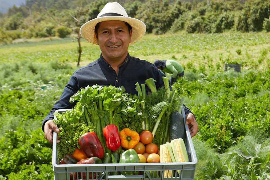 Productores de Valor: transformando vidas y mejorando la calidad de vida Productores de Valor: transformando vidas y mejorando la calidad de vida
